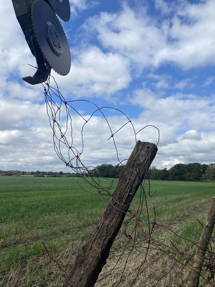 F@&amp;k$ Sake!  😡