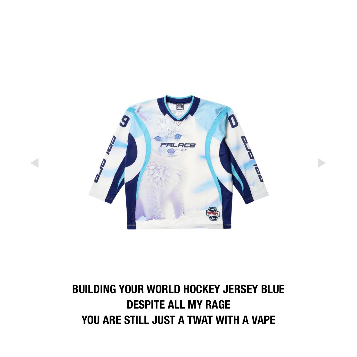 PALACE Building Your World Hockey Jersey 【公式通販】