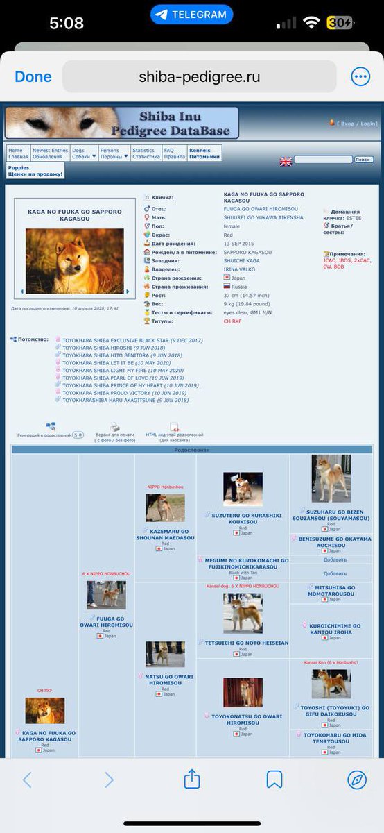 ColdStranger0x's tweet photo. @Shibtoken After extensive research the SHIBA INU
real dog breed name is #KAGASOU

The truth has exposed 

0x6ba3d4b6ac8437cf03e815b31daf8112ba8da32a

https://t.co/3RDDzOXuU5

Here is the proof 👇
#shib
#haba
#estee https://t.co/zVXQNm4MXX