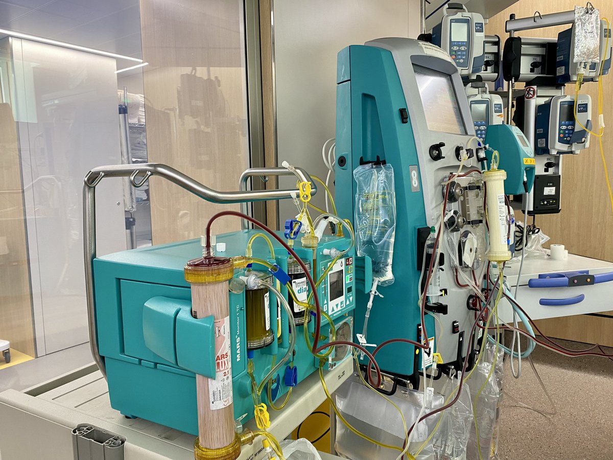 LiverIcu's tweet photo. 📢 Postgrado de Fundamentos en Hepatología Crítica 📢

Dirigido a especialistas en medicina crítica y hepatología. Mejora tus habilidades en el manejo del paciente hepático crítico con un enfoque avanzado en soporte hepático y renal, monitorización hemodinámica y casos clínicos. https://t.co/VQF5Rv8fZN