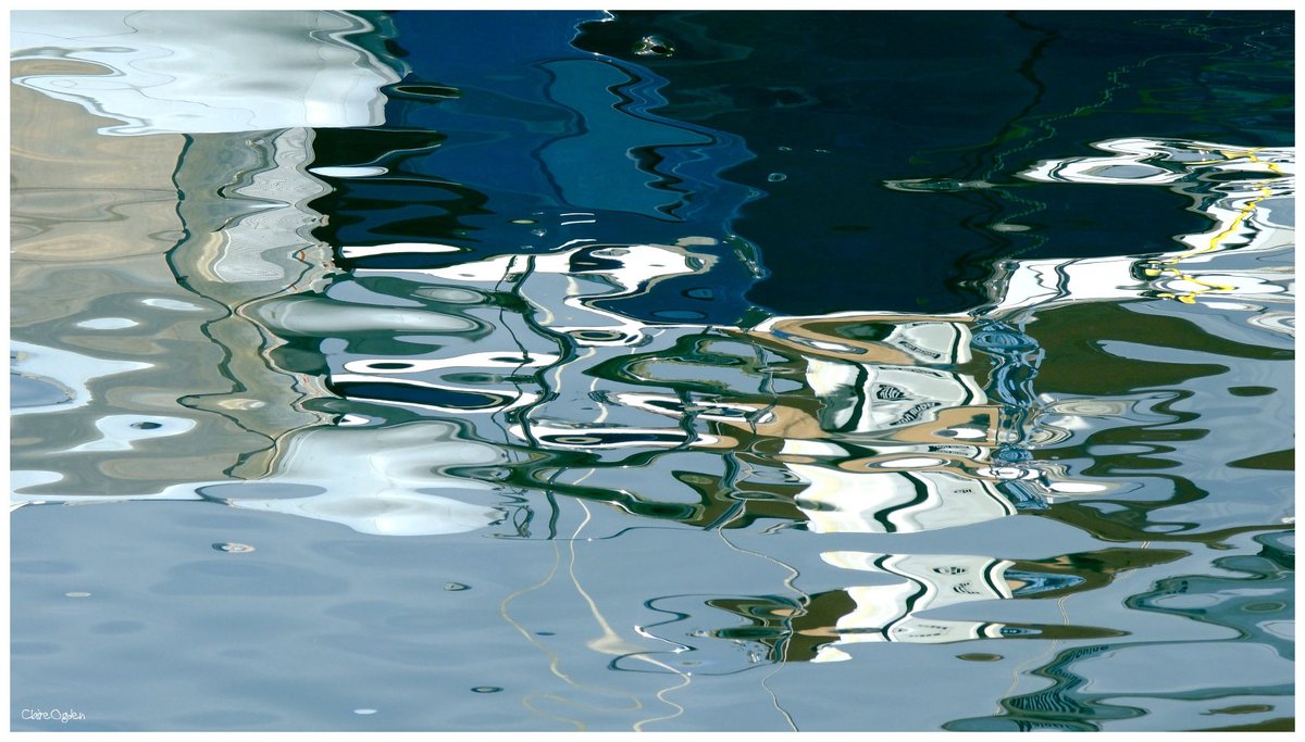 Claire Ogden (Saltdragon) tweet media