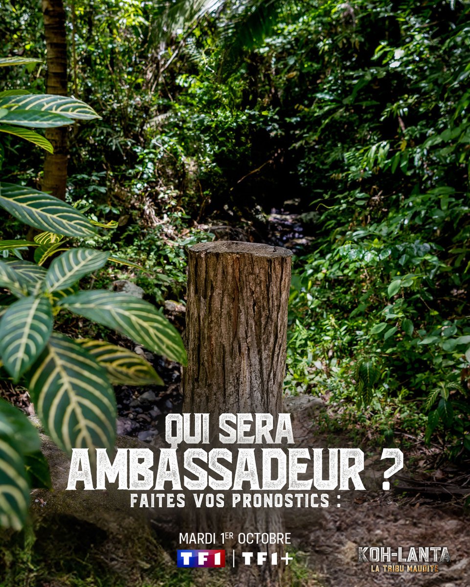 Alpfr's tweet photo. L'heure de la réunification a sonné 🔥
Mais avant cela, chacune des tribus devra choisir l'ambassadeur de la tribu adverse... Qui seront les deux ambassadeurs ? 🤔

#KohLanta, La Tribu Maudite, présenté par @DenisBrogniart, demain à 21h10 sur @TF1 &amp; @tf1plus https://t.co/amTwvr6Nod