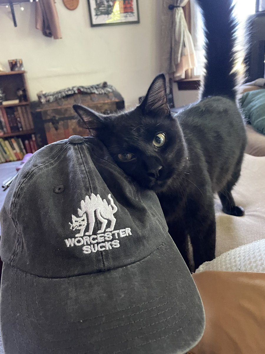 Bill Shaner tweet media