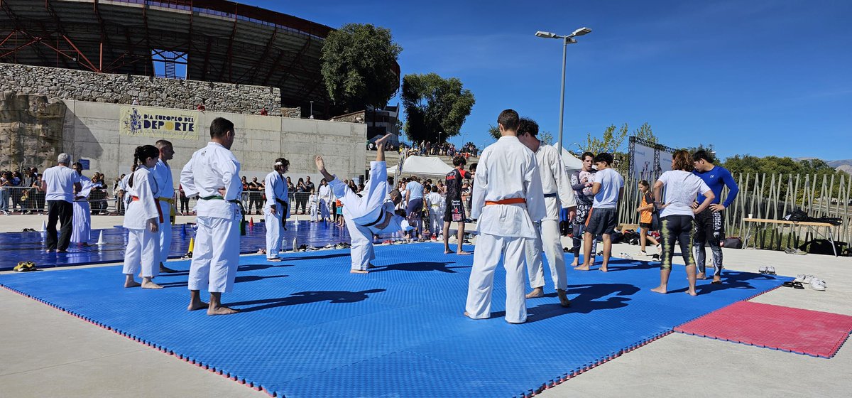 BushidoColmenar's tweet photo. Estuvimos en la celebración del día europeo del deporte, organizado por el @AytoColmenar https://t.co/w3tJpQwbp6