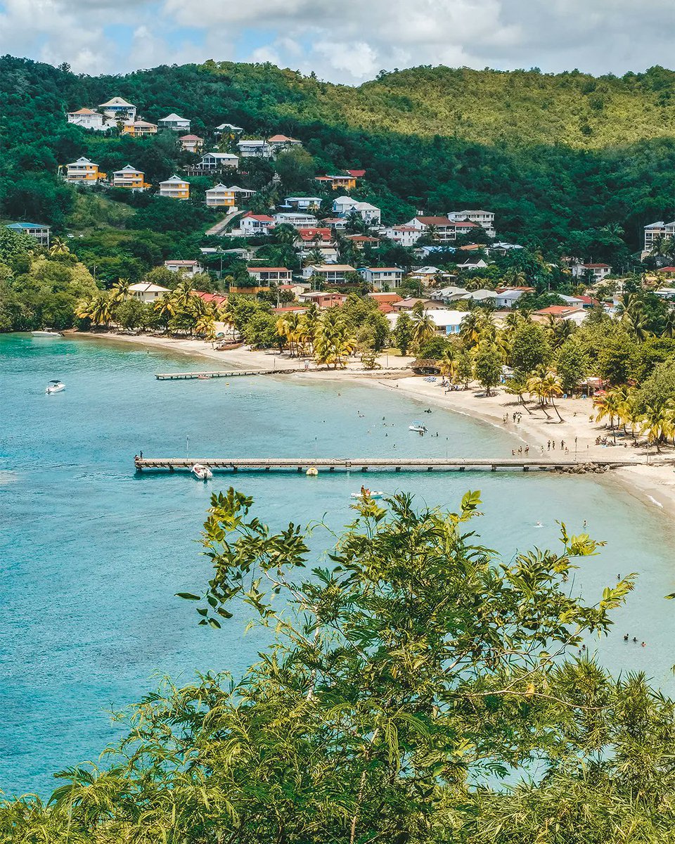 lamartinique tweet picture