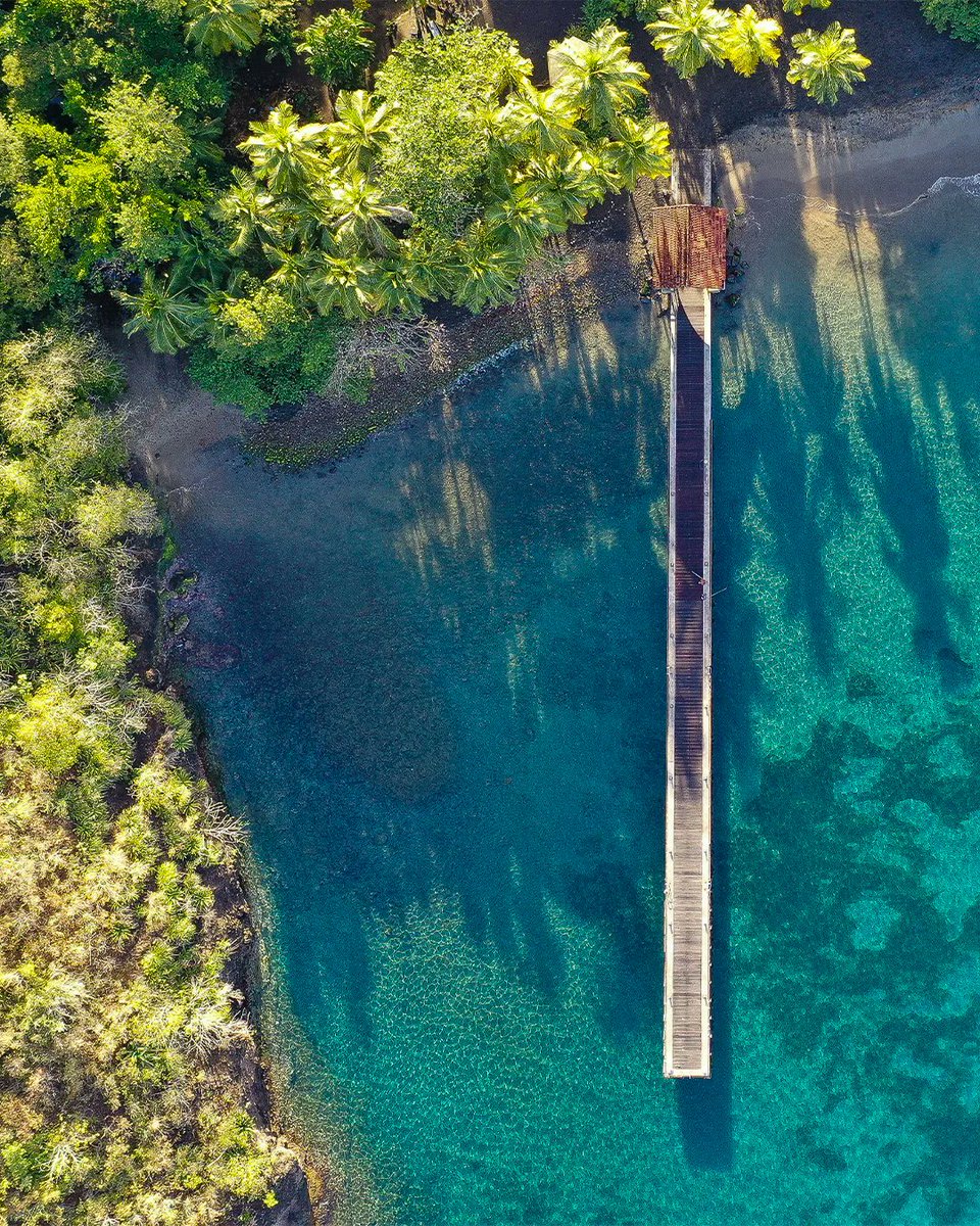 Ready for a sunny getaway? With dreamy beaches, breathtaking landscapes &amp; a culture rich in history, it’s the perfect opportunity to (re)discover our little piece of paradise. 🌺🌞

#goMartinique #MartiniqueMagnifique #MartiniqueTourisme #laMartinique