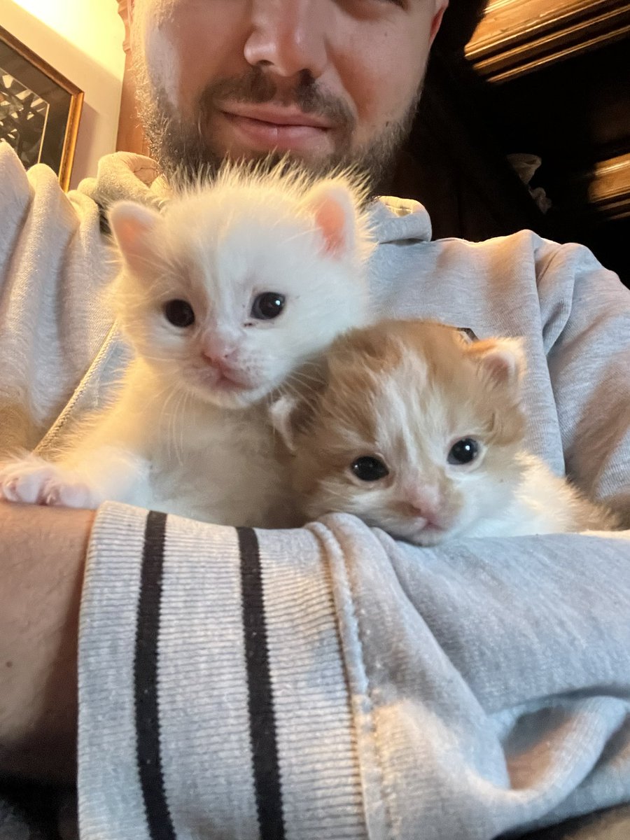 vuct_'s tweet photo. @chatmignon__ avis sur mes stagiaires ?? (Je leur apprend l’ordinateur mais ils sont pas hyper forts) https://t.co/6I6CSu6kQM