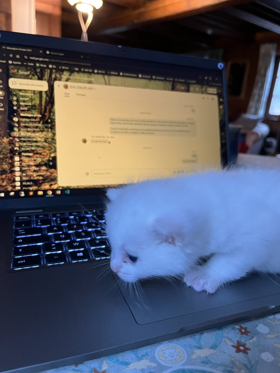 vuct_'s tweet photo. @chatmignon__ avis sur mes stagiaires ?? (Je leur apprend l’ordinateur mais ils sont pas hyper forts) https://t.co/6I6CSu6kQM