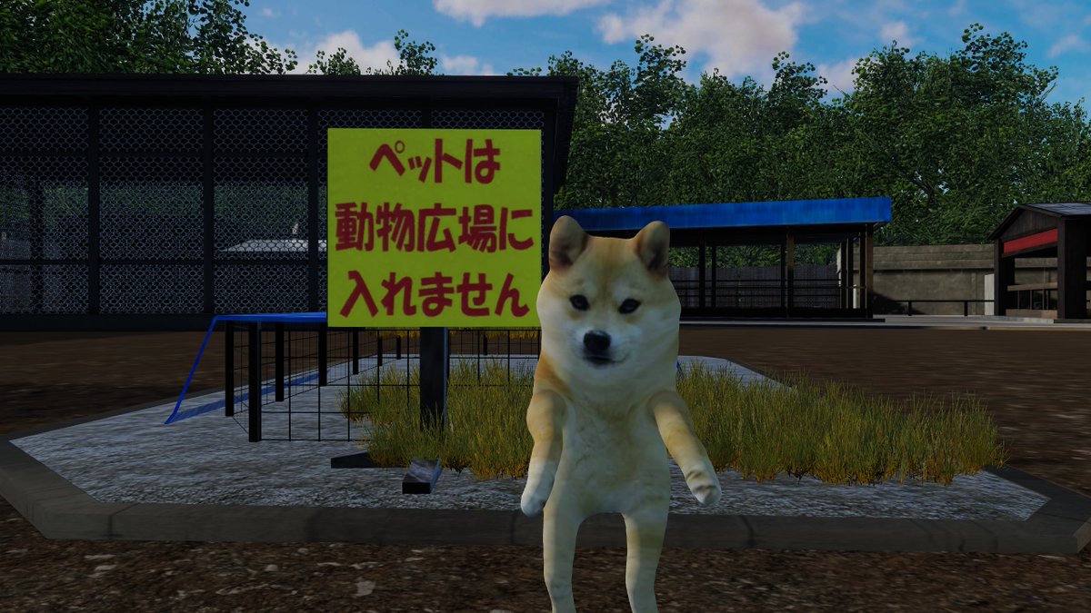 wannu0828's tweet photo. #doge3D https://t.co/B7VigPad9f