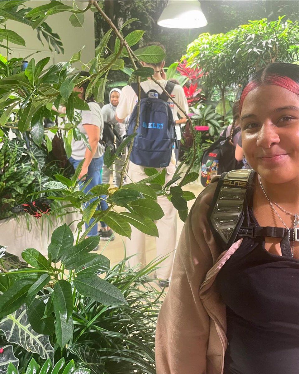 CIOBCitywide's tweet photo. 8th graders from @LyonsBklyn had a fantastic time exploring butterflies and insects at the American Museum of Natural History! 🦋 Such a great hands-on experience at the Gilder Center’s vivarium. #LyonsCommunity #AMNH #GilderCenter #Butterflies #STEMLearning @NYCSchools https://t.co/vkIlJtMKeK