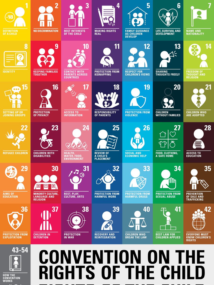 Law Primary School tweet media