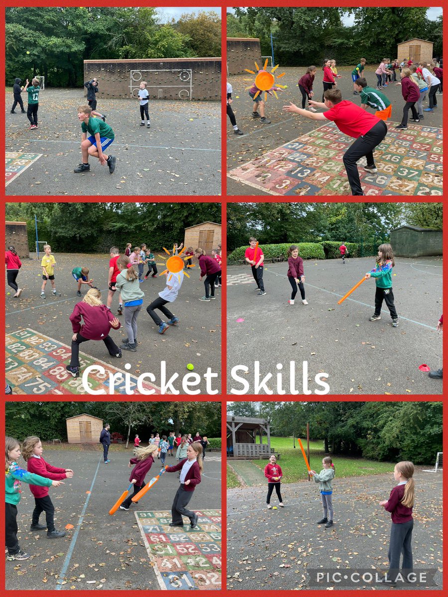 Cross Ash Primary tweet media