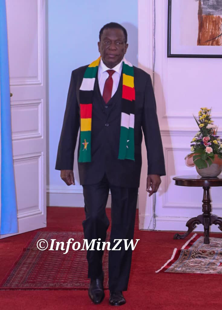 SandileMakeba's tweet photo. The youths of Zimbabwe are ready to defend President Mnangagwa from economic saboteurs. https://t.co/J8wrhQ3Gbc
