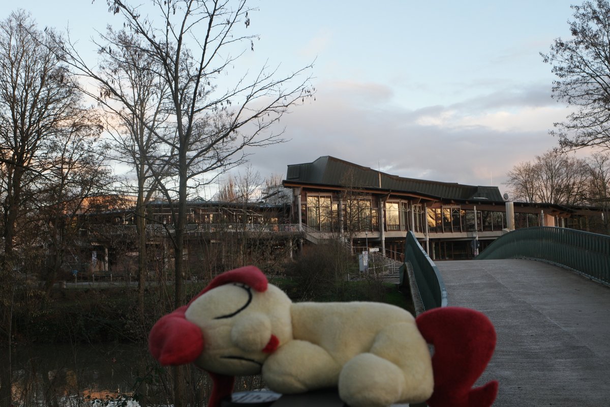 GalaCon date drop tomorrow 👀

Could someone wake up Canni?