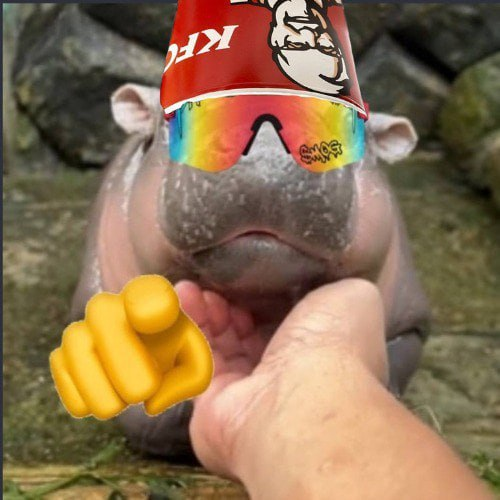 PEPE_Whale69's tweet photo. @idrawline @rasmr_eth https://t.co/c0Nzrk8aDB https://t.co/aGkwktXcgB