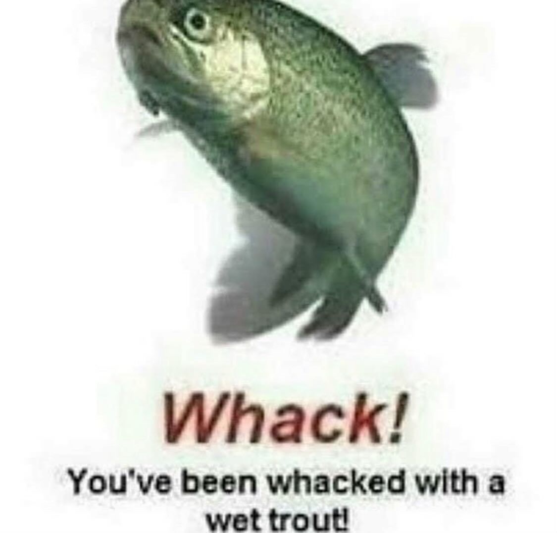 hourly_shitpost's tweet image. ㅤ