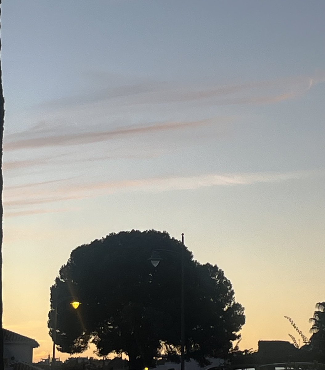 Sue Wilkinson MBE tweet media