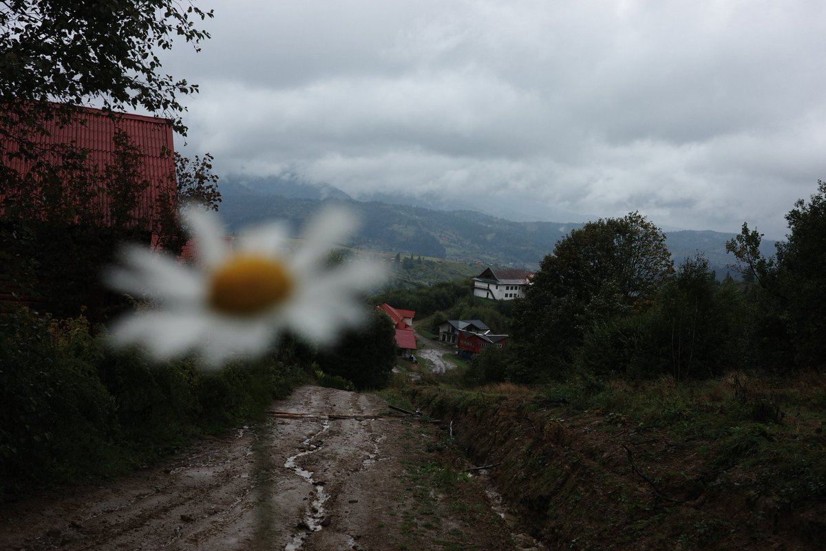 Carpathian mountains, Ukraine