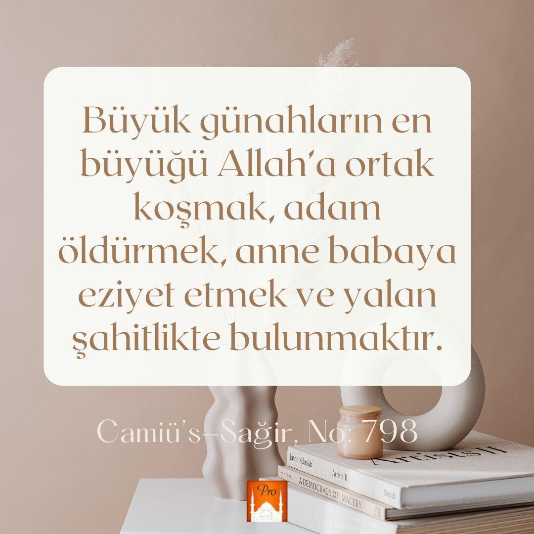 TİYA 🇹🇷🇹🇷ARS🇹🇷🇹🇷RT#EVET tweet media