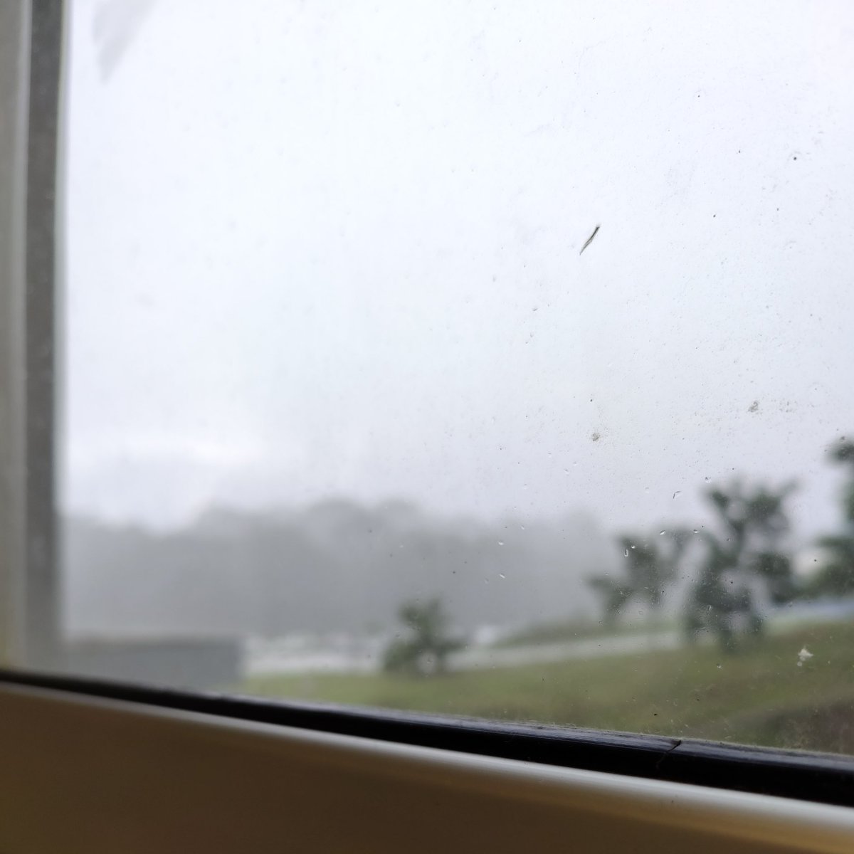luiguimansion's tweet photo. Está lloviendo y yo quiero dormir😴. Hoy quería subir directo a YT pero tendré que posponerlo. Bonita igual la foto con el desenfoque🌧️ https://t.co/CqCbJhWVJO