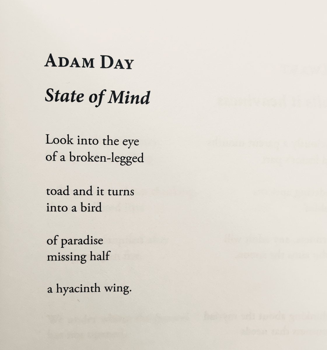 neonpajamas's tweet image. Adam Day