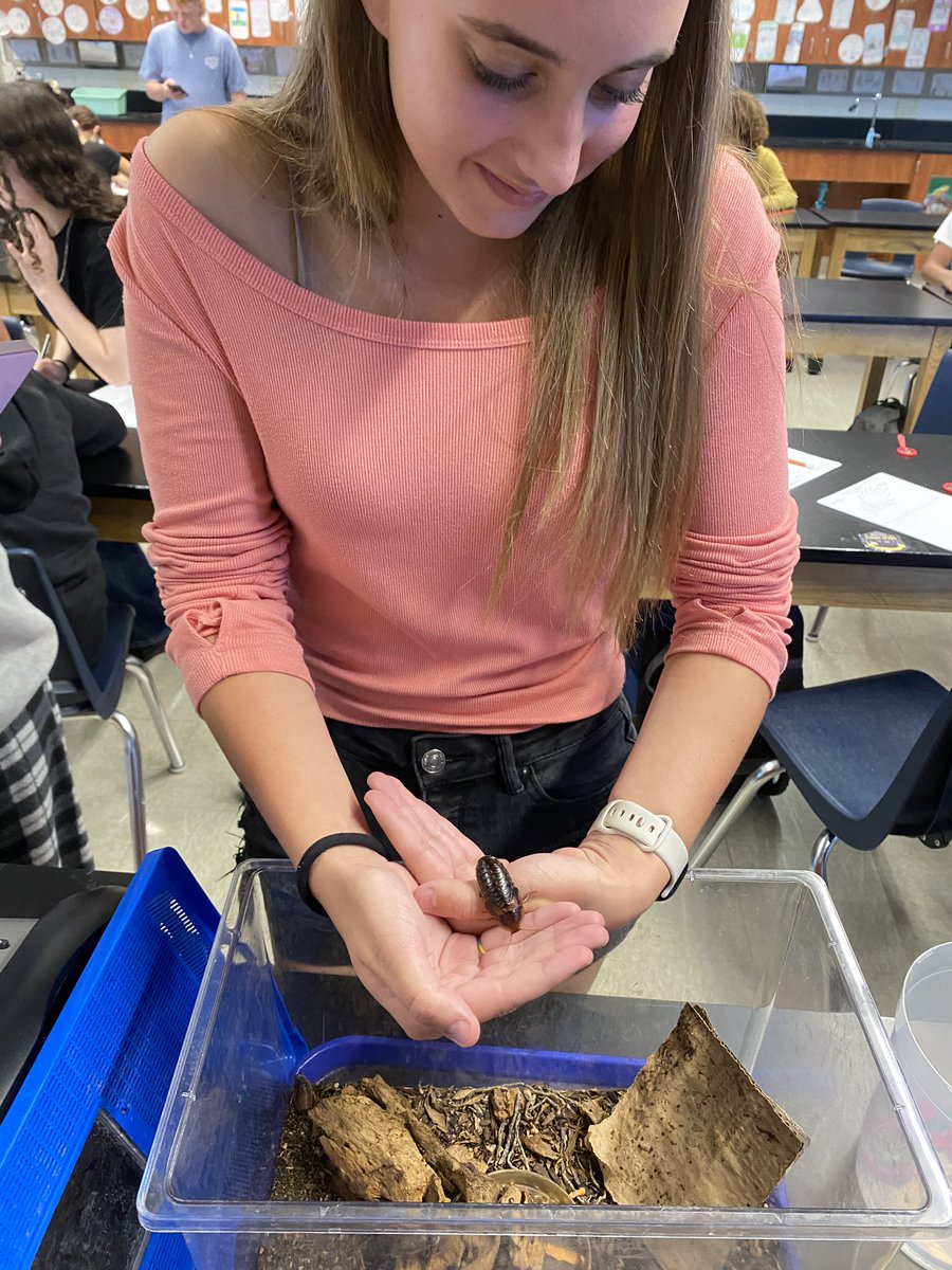 MrsHullSMS's tweet image. 🧑‍🔬🔬 8th grade science classes observed and sketched 🪳 Madagascar Hissing Cockroaches in class! 📝👀 #ScienceClass #sequoiamiddle