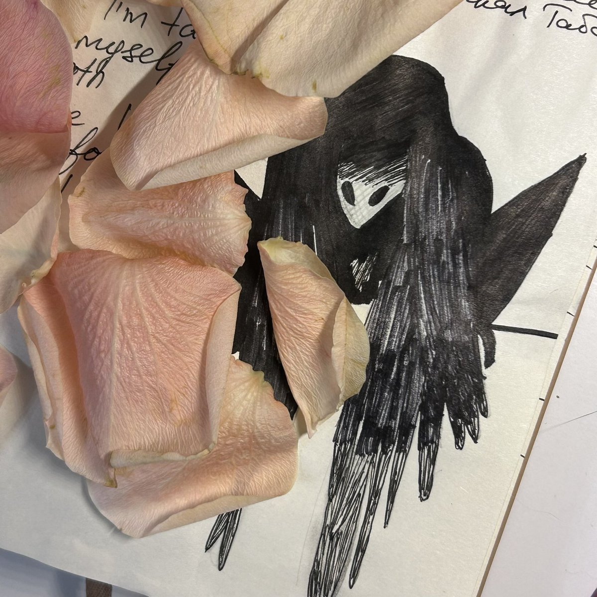 🐦‍⬛

— Сейчас Колоир уберёт пистолет, и ты расскажешь нам, что ты помнишь.

А помню я только чёрных птиц. И как сам на мгновение стал одной из них.