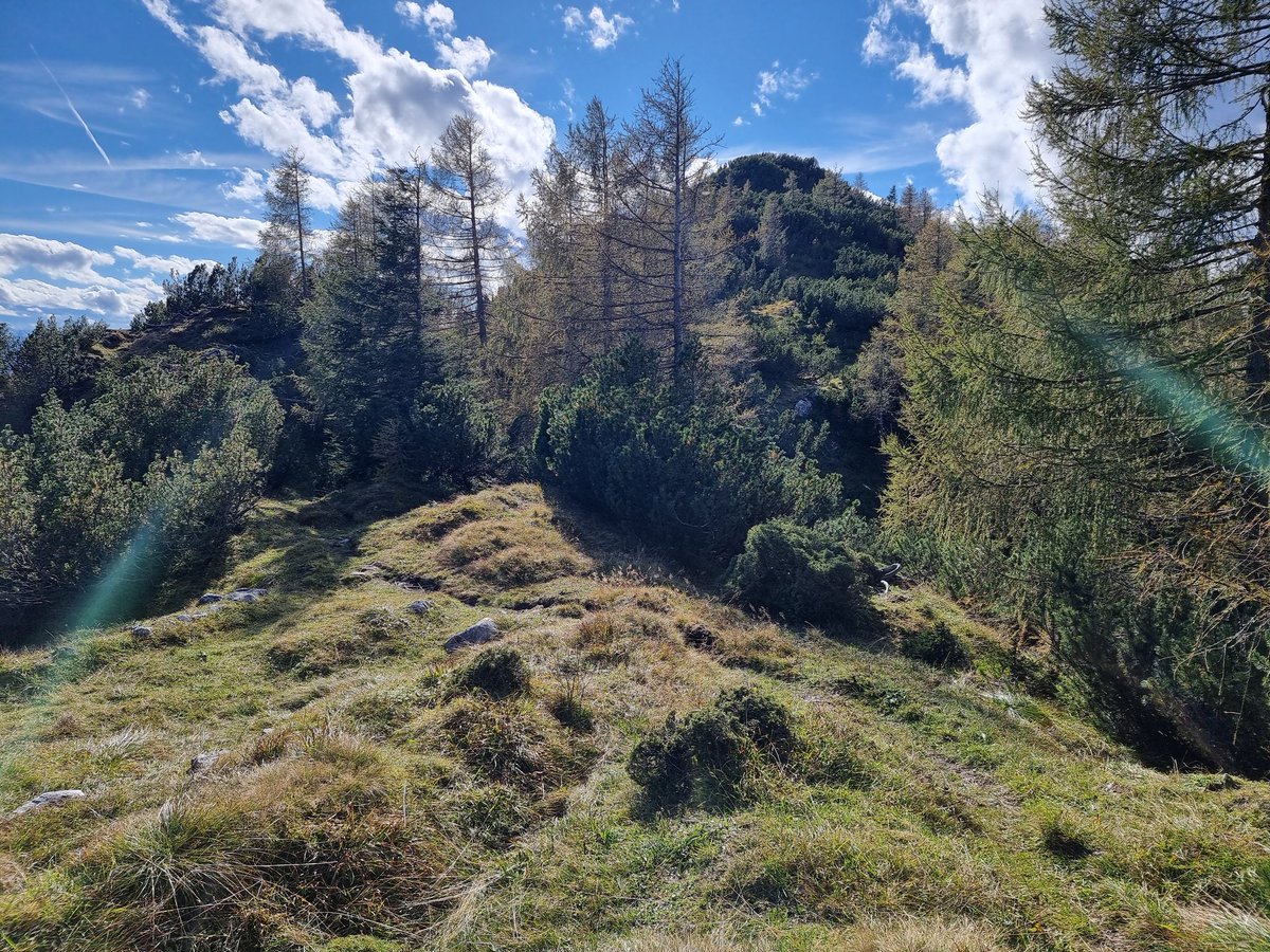 la_ontel's tweet photo. Über Kala-Alm, Jochalm und Höhlensteinhaus zum Köglhörndl.. https://t.co/EVjDzspqVW
