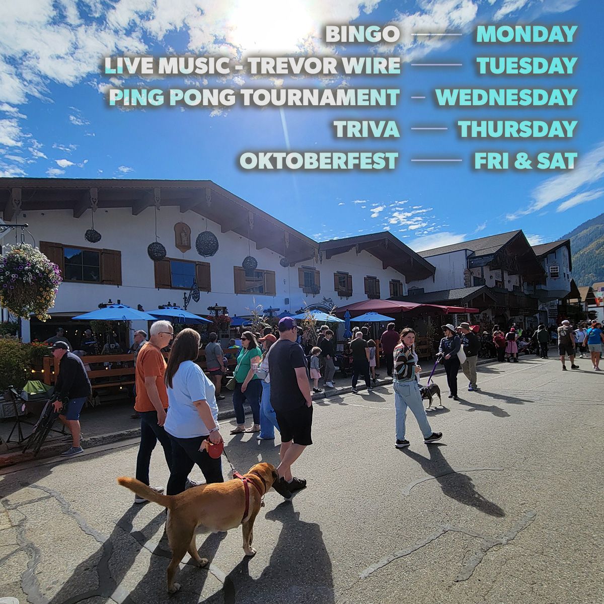 Taproom events! Join us this week from 6-8pm for Bingo on Monday, Live Music on Tuesday, a Ping Pong Tournament Wednesday, and Trivia on Thursday! And then, Oktoberfest kicks off this weekend!