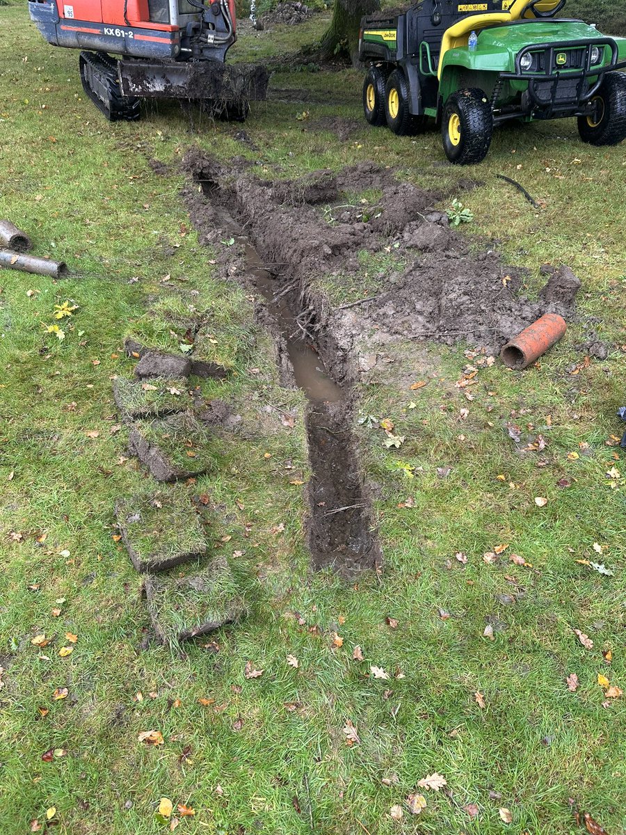 Ryan Lindsay tweet media