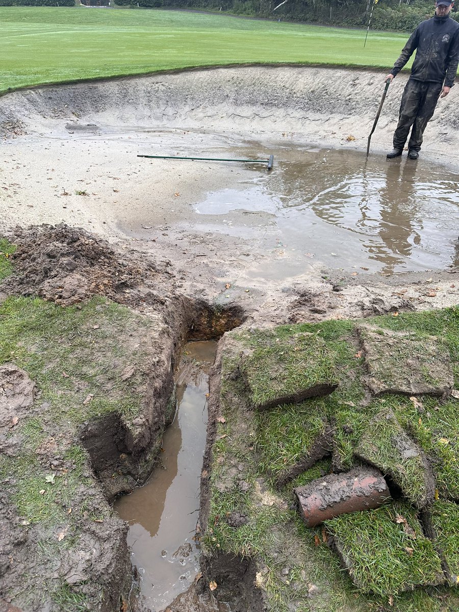 Ryan Lindsay tweet media