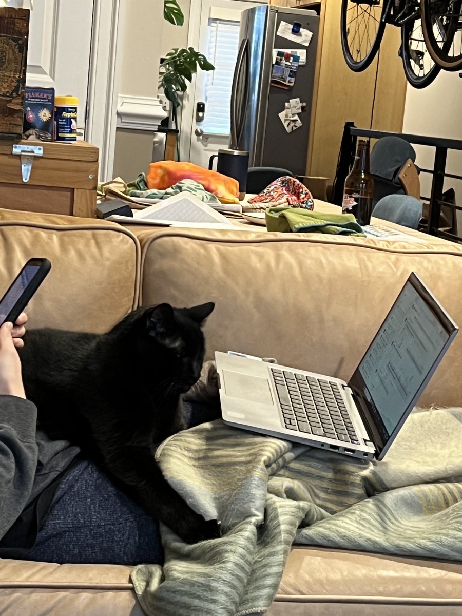 Yes I am writing. Still working through a long difficult scene. Nearing the end of the book. Two chapters away. The cat’s name is Abe Lincoln #WritingCommunity #AbrahamLincoln #AmWriting
