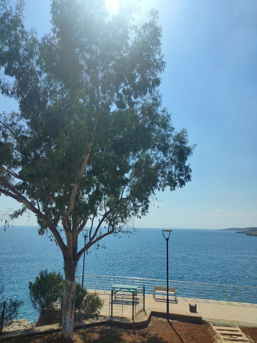 Konya Genç Memur Sen önderliğinde, Yeni Akademik Düşünce Eğitim ve Medeniyet Topluluğu olarak Akkum Gençlik Kampı programına iştirak ettik. Programın neticesinde birlik ve beraberliğin içerisinde kıymetli bir zaman geçirmemize vesile olmuştur. Emeği geçen herkese müteşekkiriz...