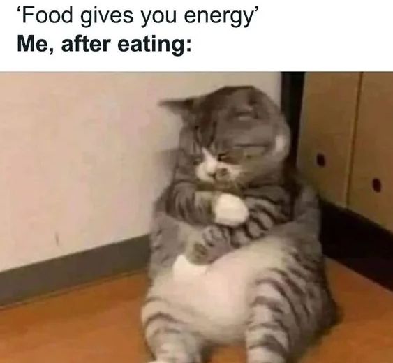 WholesomeMeme's tweet photo. https://t.co/q6u15KWBLU