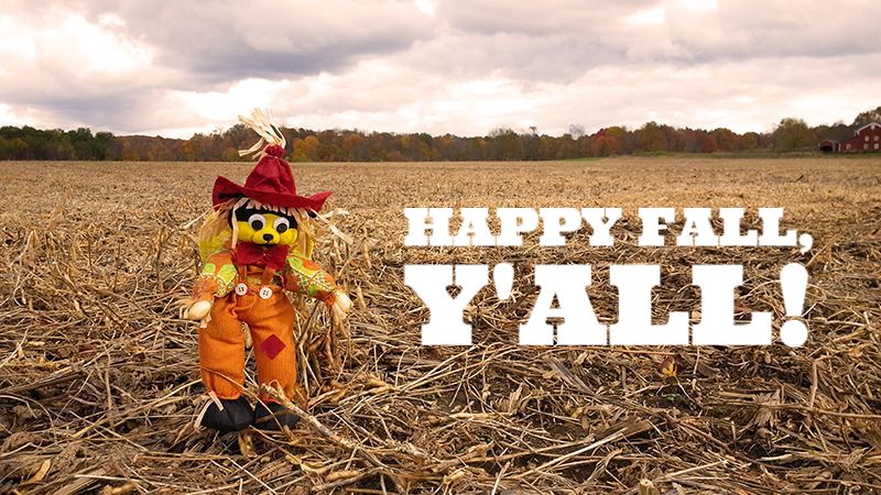 Happy Fall, Y'all! - mailchi.mp/maryruthbooks/…