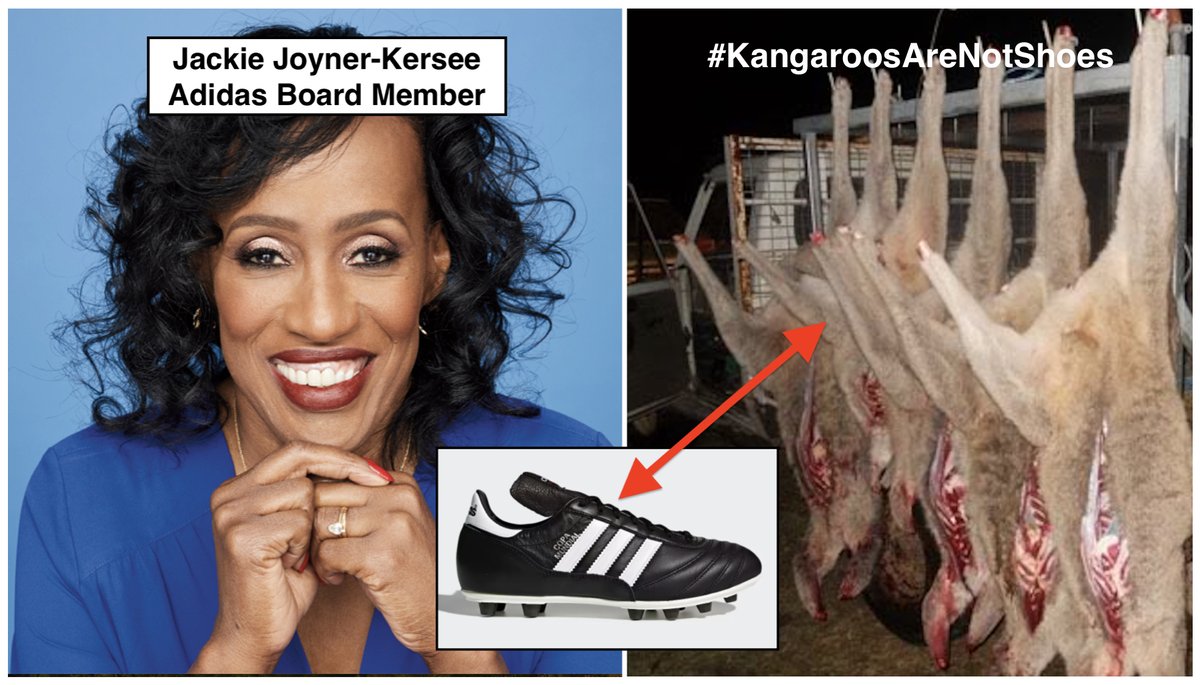 theirturn's tweet photo. As an #adidas board member, Olympian Jackie Joyner-Kersee can use her power to compel the company to stop killing kangaroos for shoes and to switch to #crueltyfree materials. Please click this link send her an automated letter: 
https://t.co/iCUtaMniBk

In Australia, commercial hunters kill an estimated one million #kangaroo adults each year. Hundreds of thousands of female victims are mothers with joeys, who the shooters either bludgeon to death, as mandated by the government, or leave to die of starvation or predation. 

The nightly kangaroo hunt is brutal, and it violates Adidas's own corporate animal welfare policies.

#KangaroosAreNotShoes