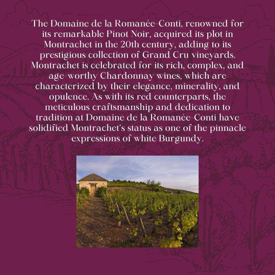 Moncharm Wine Traders tweet media