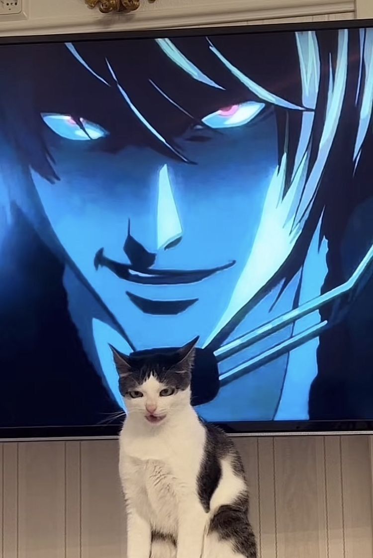 retro_anime's tweet image. 