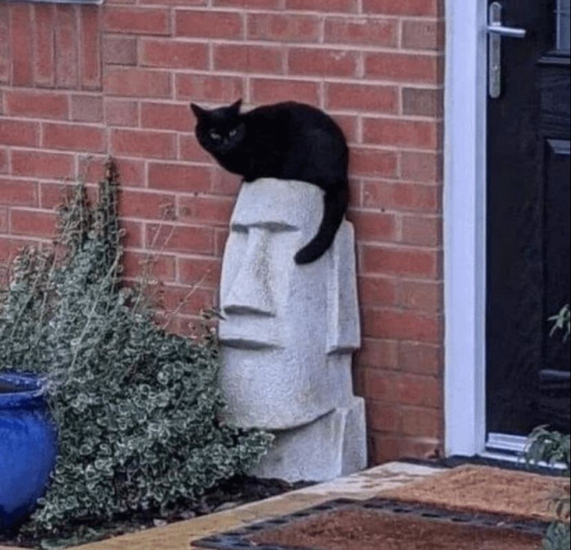 Thought it was Morrissey for a second.