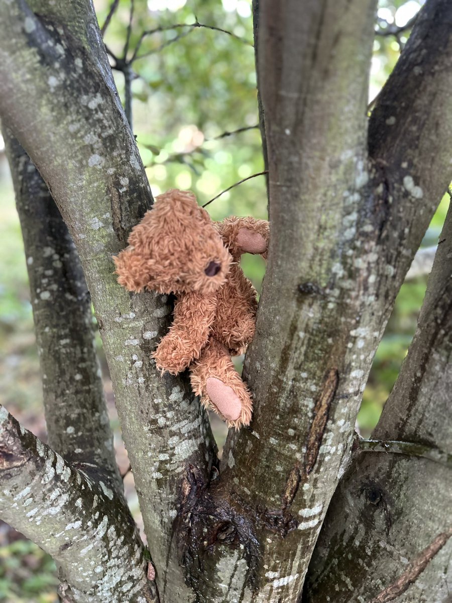 We had the best morning braving the rain on a bear hunt through Forest School. #BGEYFS