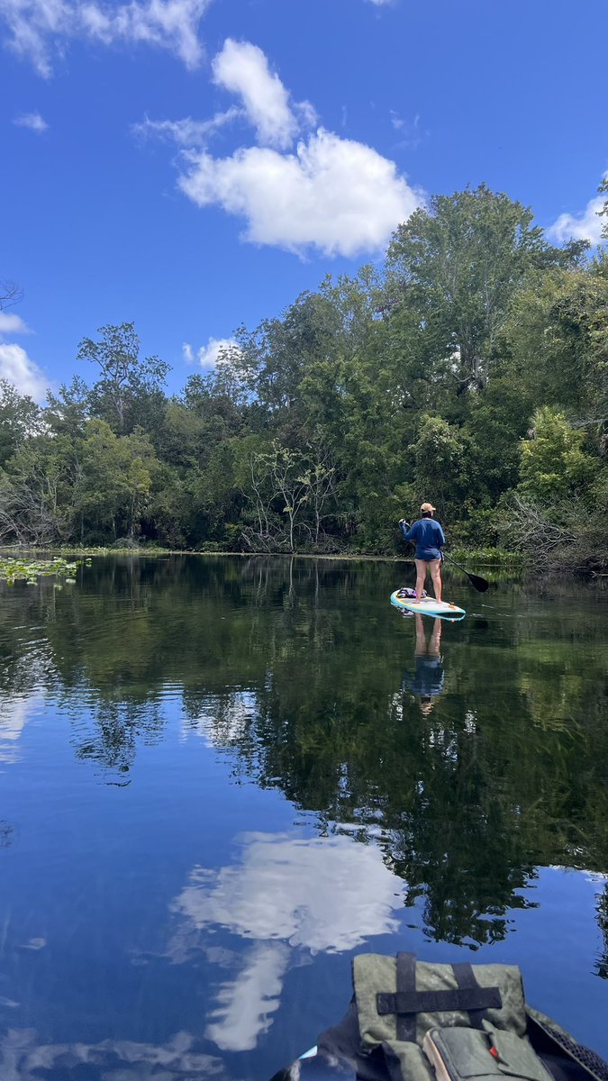WalkandPaddle tweet media