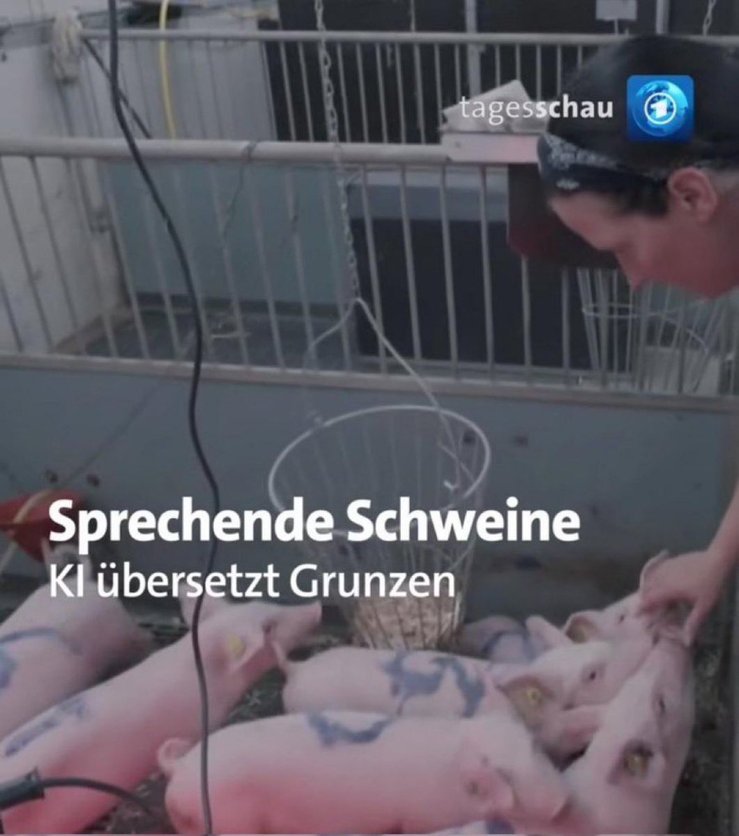 elhotzo's tweet photo. "die Kaution beträgt zwei Monatsmieten" https://t.co/IuDgQFK0KT