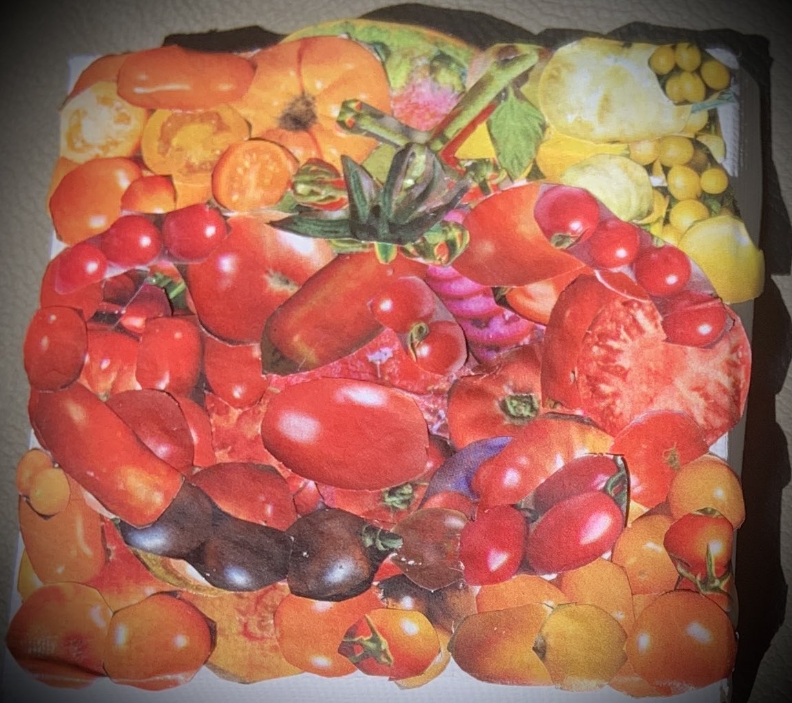 Tomato of tomatoes.

#gardening