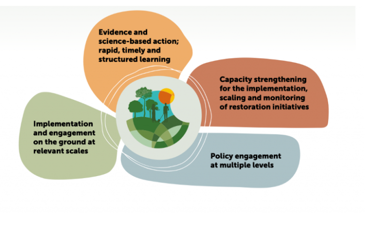 lawinowiecki's tweet photo. The Landscape Restoration Transformative Partnership Platform (TPP) is an alliance of scientists, practitioners and policymakers to generate  &amp; translate evidence into action for context-specific solutions!
👉https://t.co/kqAkdcEf7o
@CIFOR_ICRAF #lrtpp @RegreenAfrica https://t.co/wNhOcd1D6r