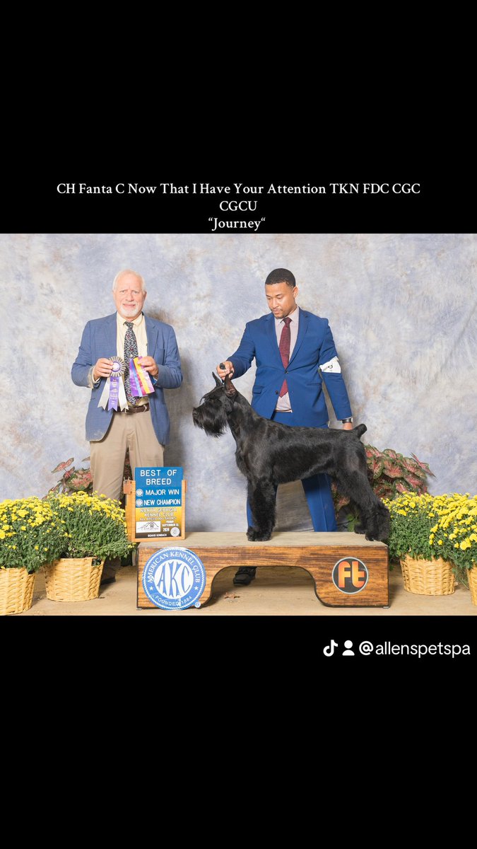 IamN4RED's tweet photo. My New Akc Champion 

CH Fanta C Now That I Have Your Attention CGCU TKN FDC CGC 
“Journey“ 

(Nilly x Orpheus) https://t.co/F7LqZ6EoVf
