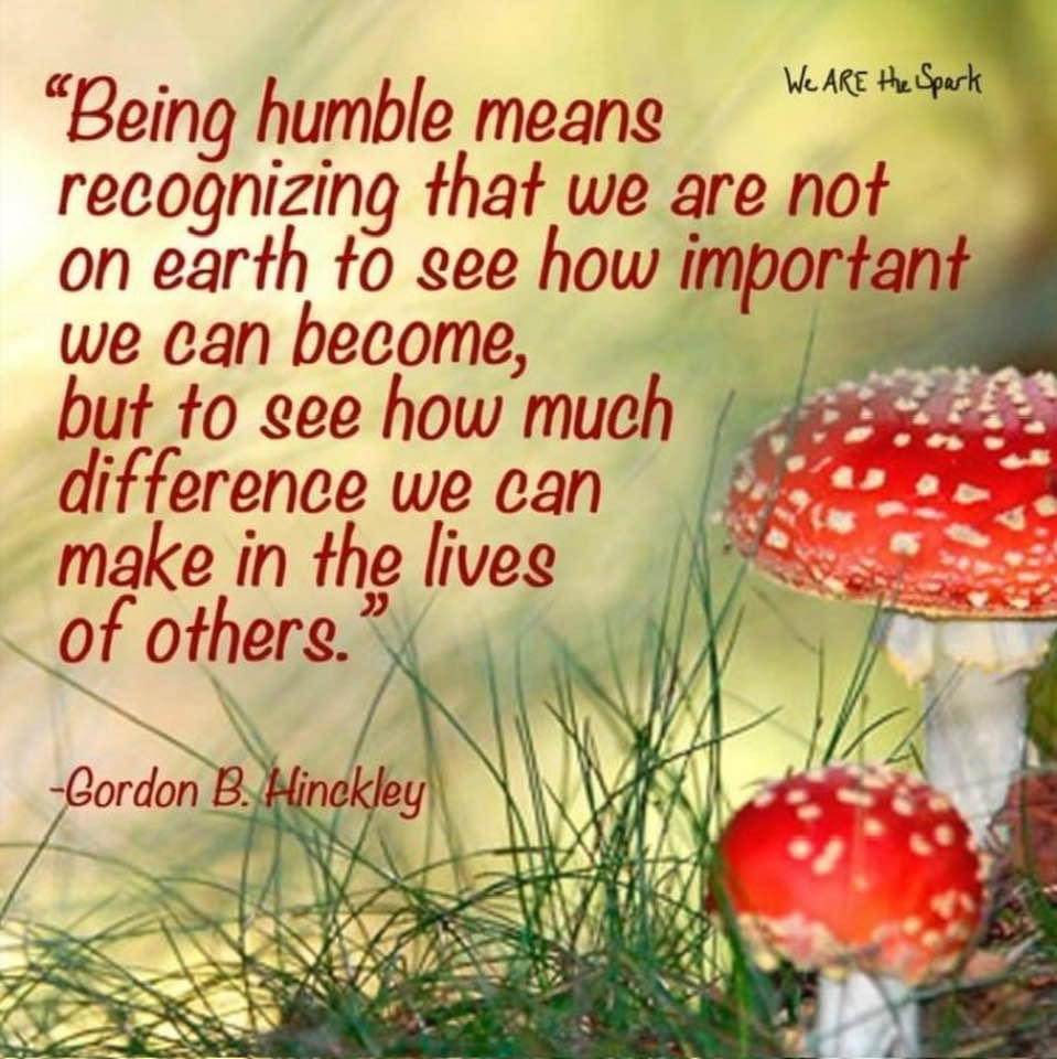 BentleyAudrey's tweet photo. This! https://t.co/8OBW4z3Mac