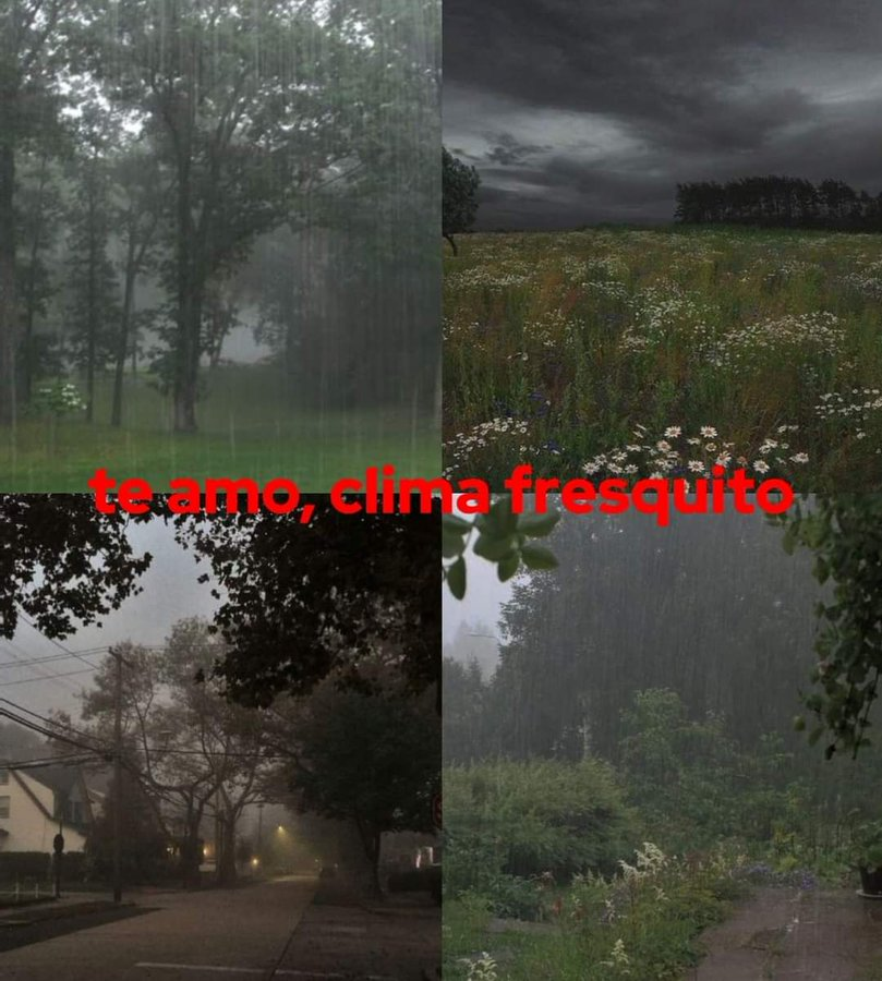 Escritos tweet media