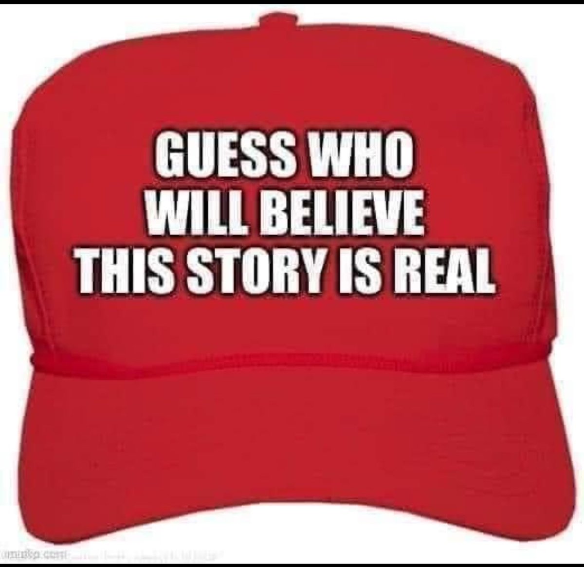 Massimo Basile 🍀 tweet media