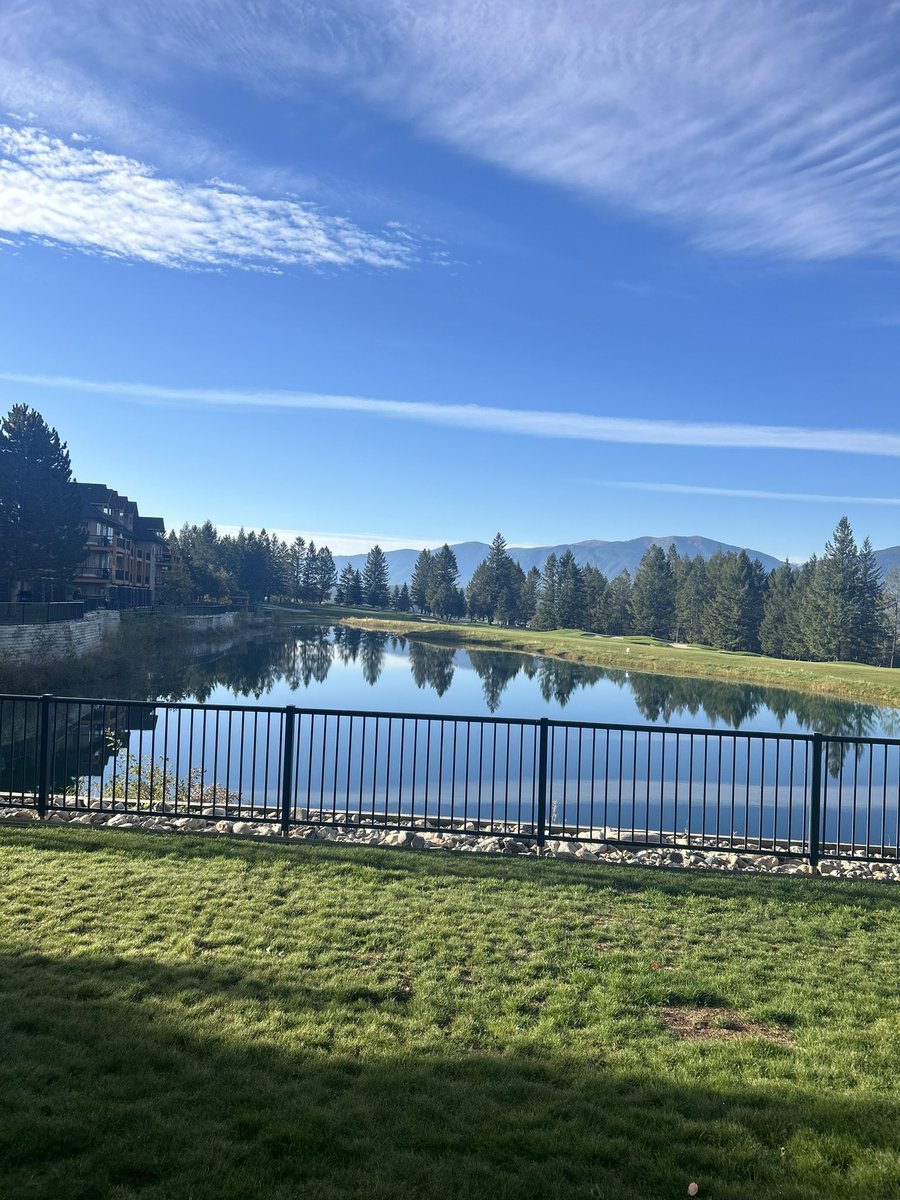 BlackWolfGolf tweet media