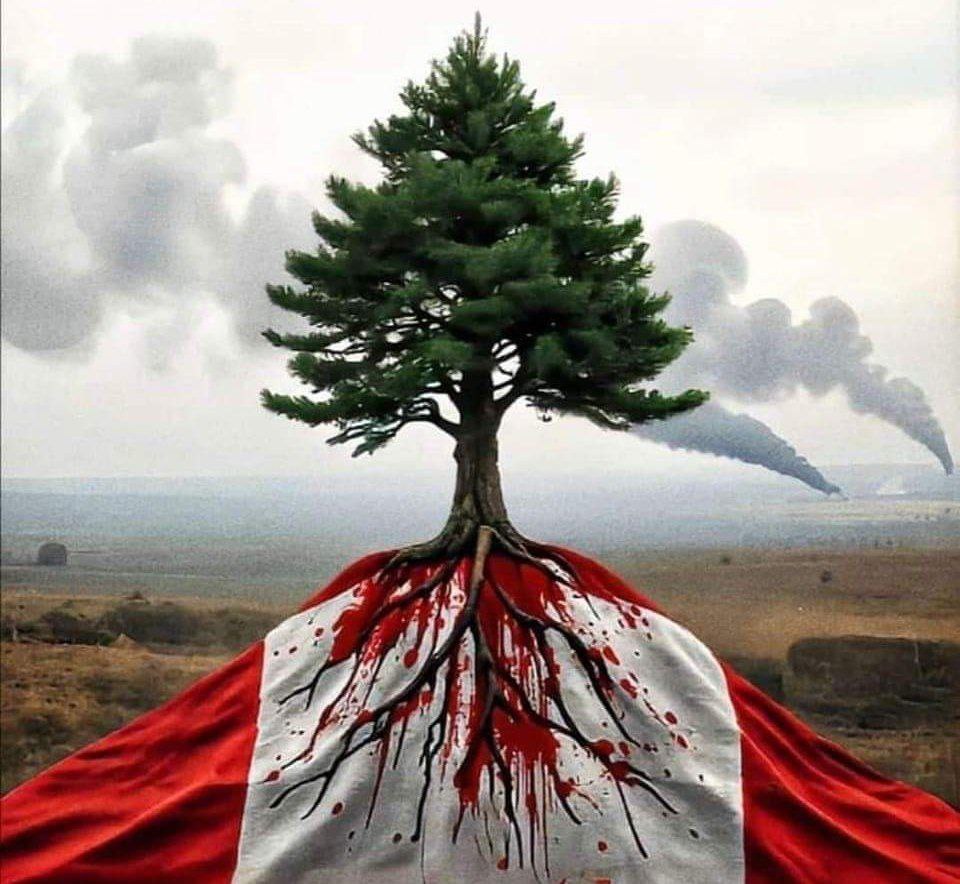 لا تقصروا بالدعاء الى اهلنا في لبنان 🇱🇧 الحبيبة والمقاومة بالنصر ، اخبار عن بدء الاجتياح البري للصهاينة

عليكم بدعاء اهل الثغور كما اوصانا قائدنا 

#غلق_السفارة_يا_برلمان_الخذلان